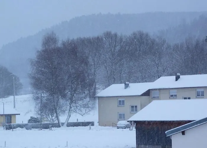 Apartmán De La Grange 12km De Gerardmer *